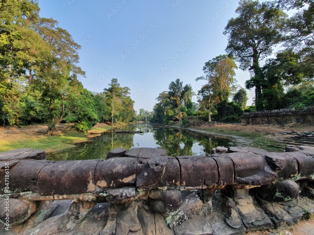 Nature in Siem Reap, Cambodia, February 2020 Nature in Siem Reap, Cambodia, February 2020