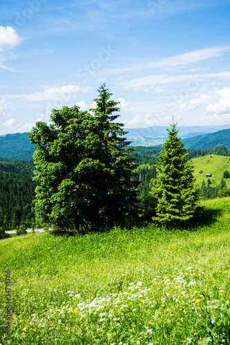 Landscape of Ciumarna step or Palm  Palma pass  Bucovina  Romania.