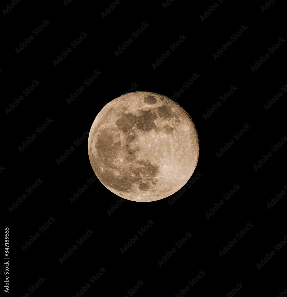 The flower full moon taken high in the sky The flower full moon taken high in the sky