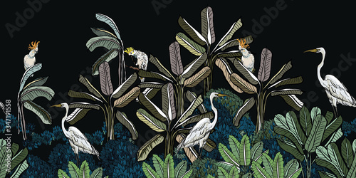 Night Palms in Rainforest Backdrop, Exotic Birds in Tropical Planys Midnight Wallpaper Design, Panorama View Jungle Wildlife, Hand Drawn Tropics Illustration