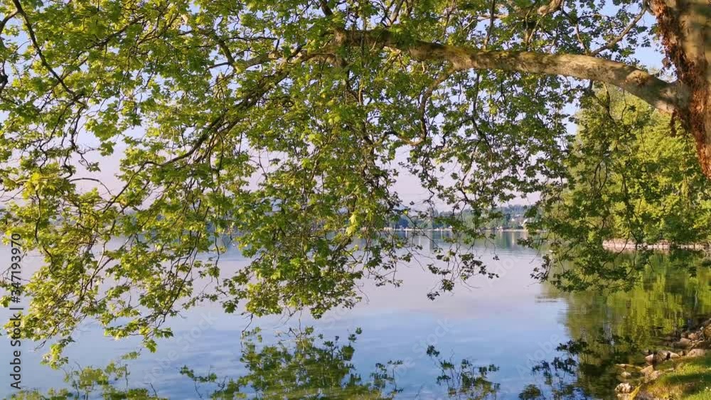 green park and blue lake near a lake in Switzerland. Perfect location for Yoga lifestyle green park and blue lake near a lake in Switzerland. Perfect location for Yoga lifestyle