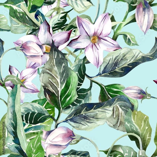 Potatoes Flowers Seamless Pattern. Watercolor Illustration.