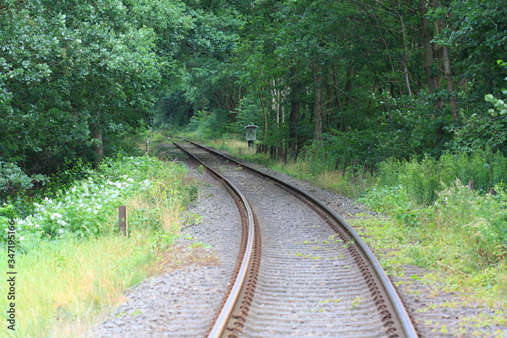 railway in the forest