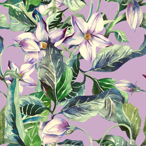 Potatoes Flowers Seamless Pattern. Watercolor Illustration.