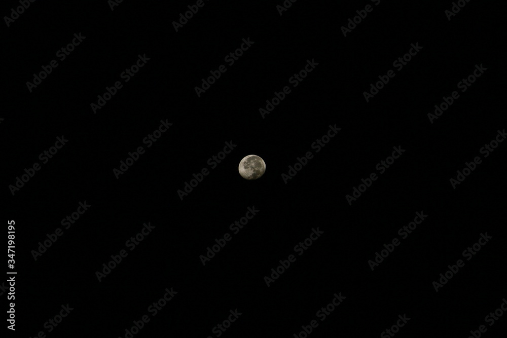 moon moon