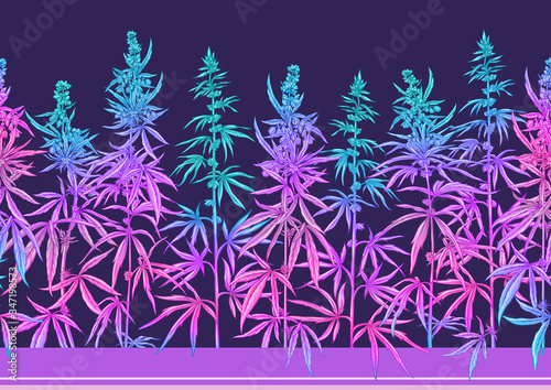 Hemp, Cannabis pattern, background. Vector illustration in botanical style in neon fluorescent colors