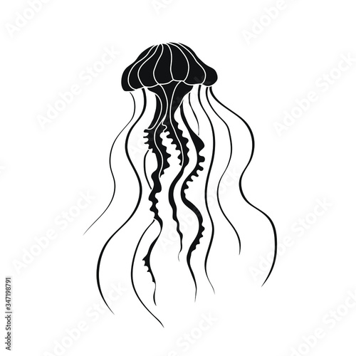 Vector sea jellyfish isolated on white background. Black silhouette jellyfish for coloring books, web, cards.