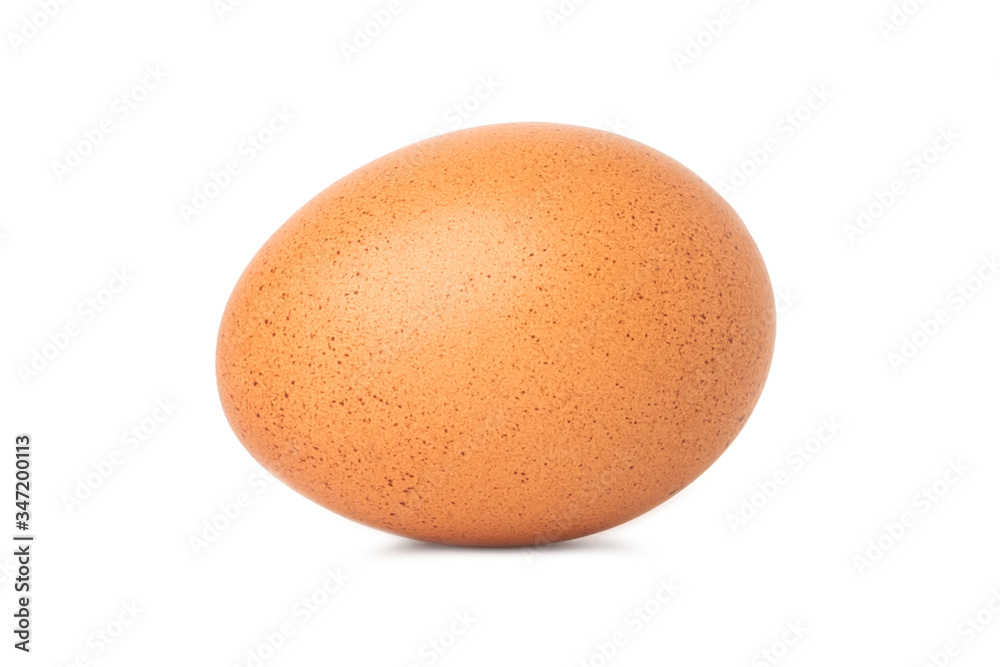 chicken egg isolate on white background chicken egg isolate on white background