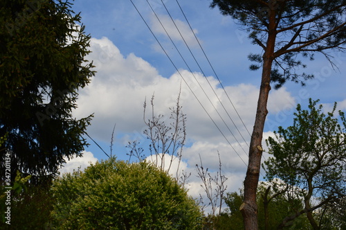 clouds