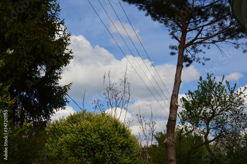 clouds