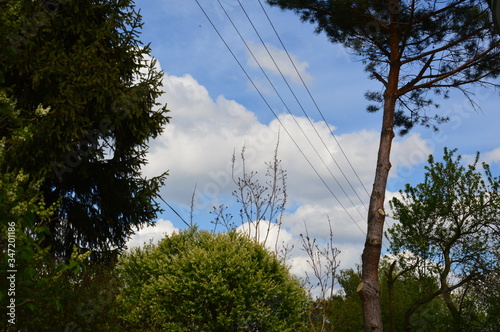 clouds