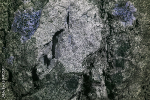 light, ultraviolet, uv, lichen, technology, equipment, blue, nature, violet, photographic, glass, photography, camera, reflect, beautiful, lens, protection, color, photo, reflective, photograph, 
