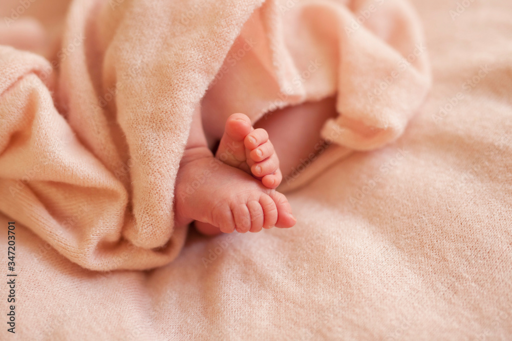 baby feet in pink baby feet in pink