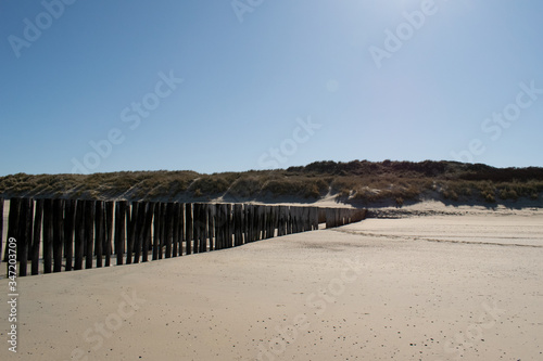 wooden groynes with dunes at the beach in Zeeland, Holland © Marie