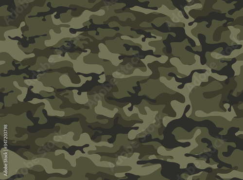 Camouflage green. Military pattern. Print. Vector