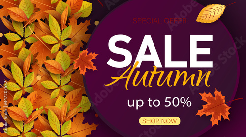 Autumn Sale Background with falling leaves, Web Banner, shopping sale or seasonal poster, Postcard and Invitation card. Vector illustration