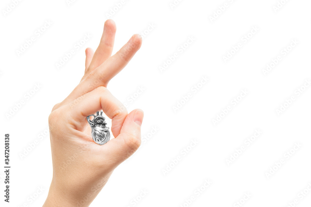 © Katie Chizhevskaya - Female hand shows OK ring gesture holding a miniature steel copy of a human heart in the circle between the thumb and index fingers. A healthy heart concept.