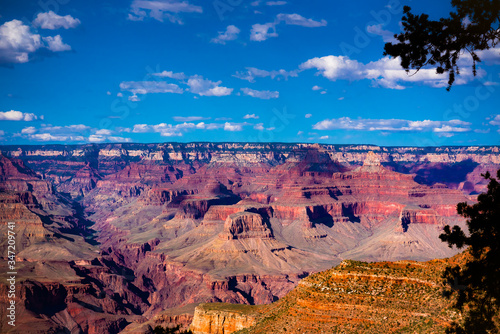 Red layers of the Grand Canyon photo