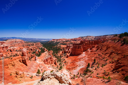A valley of green pine in Bryce canyon