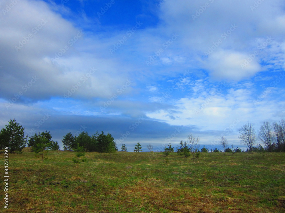 sky
forest