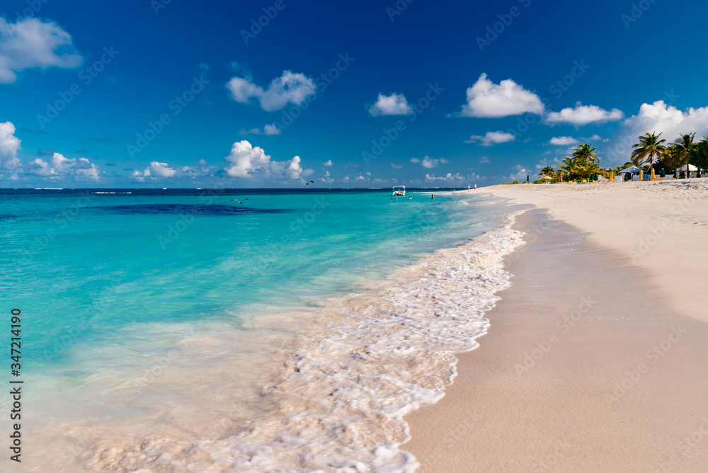 Fototapeta premium perfect island of the Caribbean sea, Anguilla