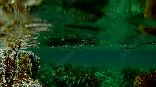 Underwater view through the clear sea water and Mediterranean Sea landscape