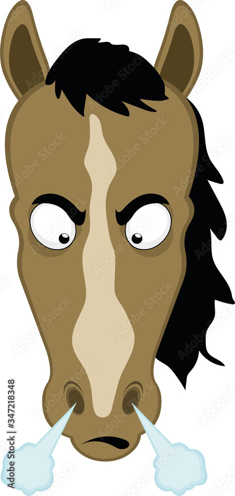 Fototapeta premium Vector illustration of an angry cartoon horse face