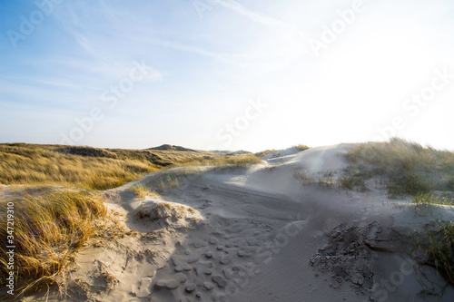 Dunes in the morning sunlight. Grasses grow on the hilltops. In the blue sky, white clouds move to the sea. Beach in the netherlands near the island texel.