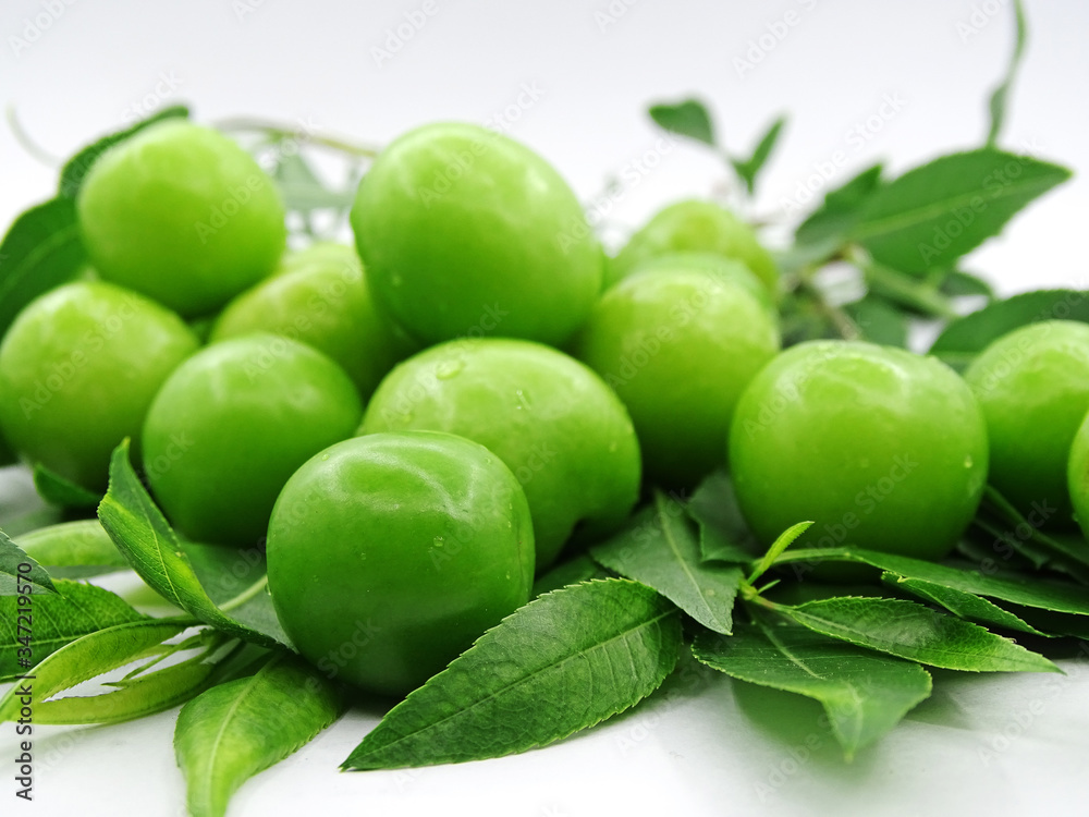 Green plums on plum tree leaves Green plums on plum tree leaves