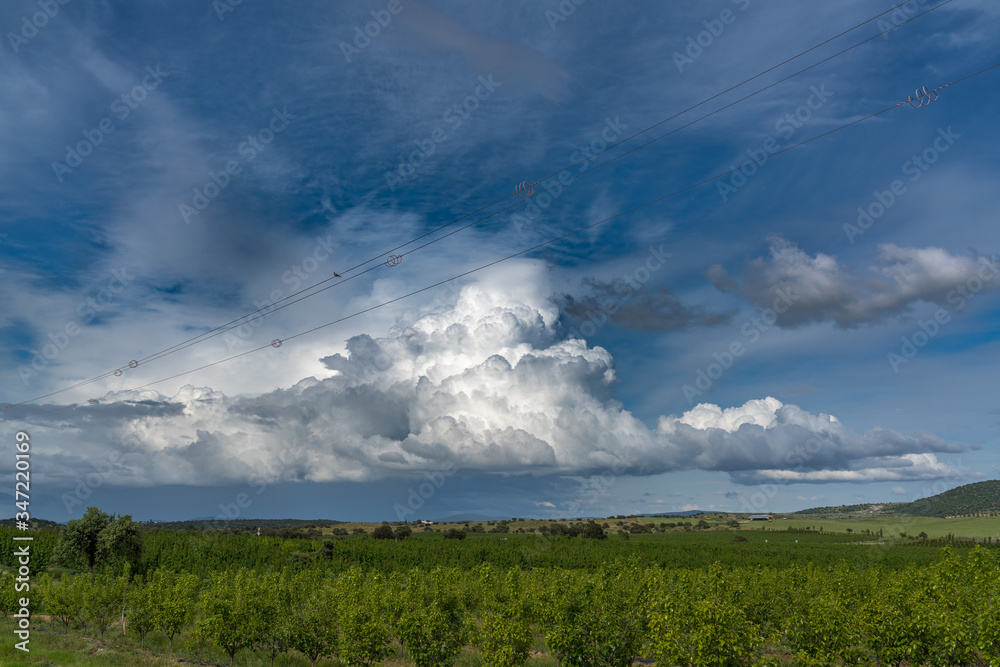 Obraz premium Cumulonimbus clouds over fruit plantation in Extremadura. Spain