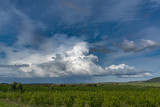 Cumulonimbus clouds over fruit plantation in Extremadura. Spain