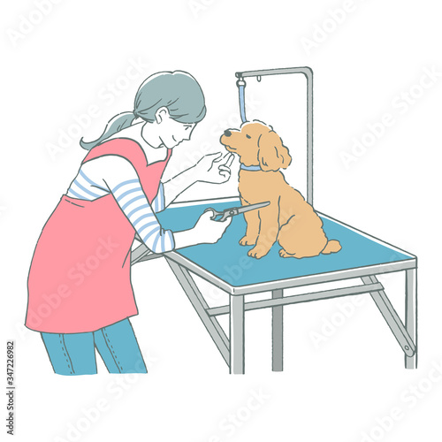 トリマーとトイプードルのイラスト