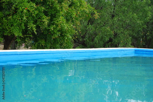 Swimming Pool in Garden Landscape