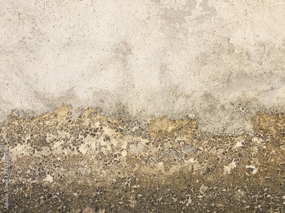 Fond texture béton grunge 
