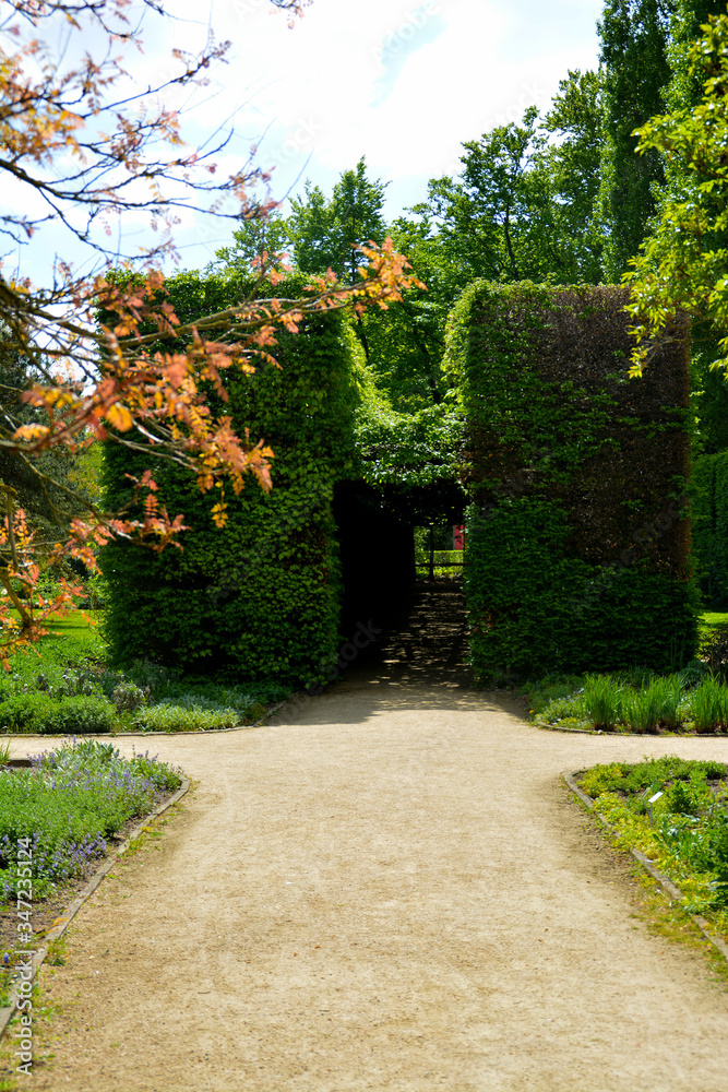 Eingang zu einem Laubengang, Botanischer Garten in Gütersloh im Frühling