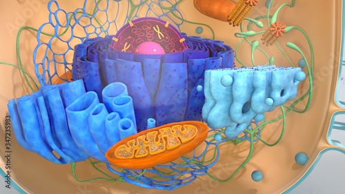 3d render. 3d illustration cell modell.  photo