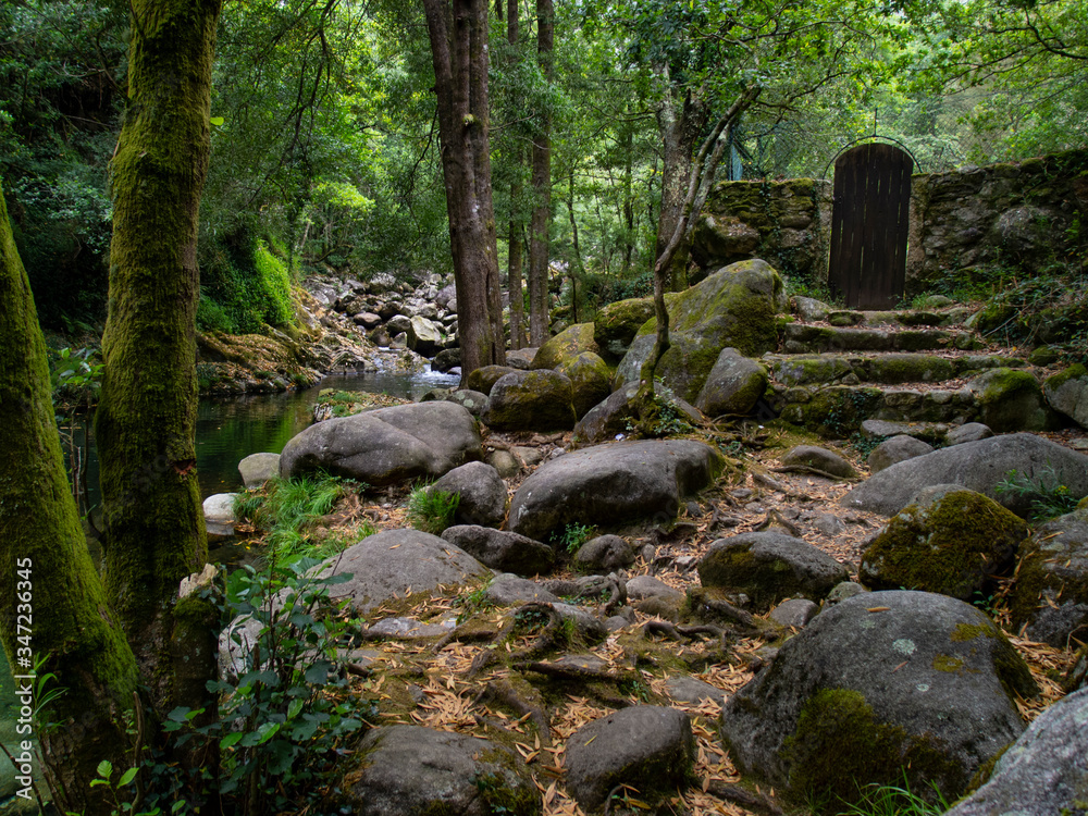 Camino empedrado hacía una puerta de entrada en bosque sombrío con un arroyo Camino empedrado hacía una puerta de entrada en bosque sombrío con un arroyo