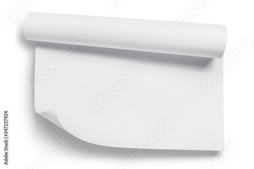 Rolled sheet of white paper, isolated on white background photo