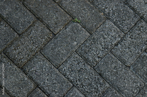 Paving stone texture. texture of the paved tile on the bottom of the street.