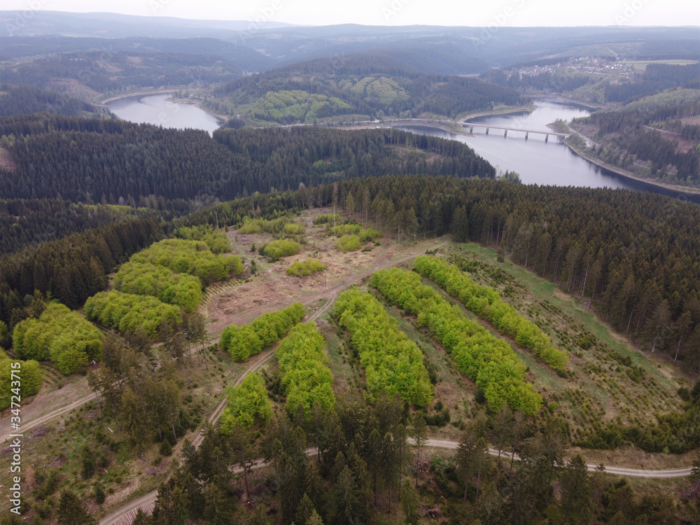 Aerial view of afforestation in Germany. Harz mountains with Oker Dam in Lower Saxony, Germany.