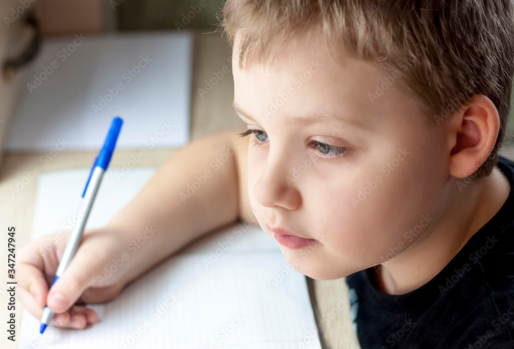 Home schooling. The boy does his homework. Writes in a notebook. Home schooling. The boy does his homework. Writes in a notebook.