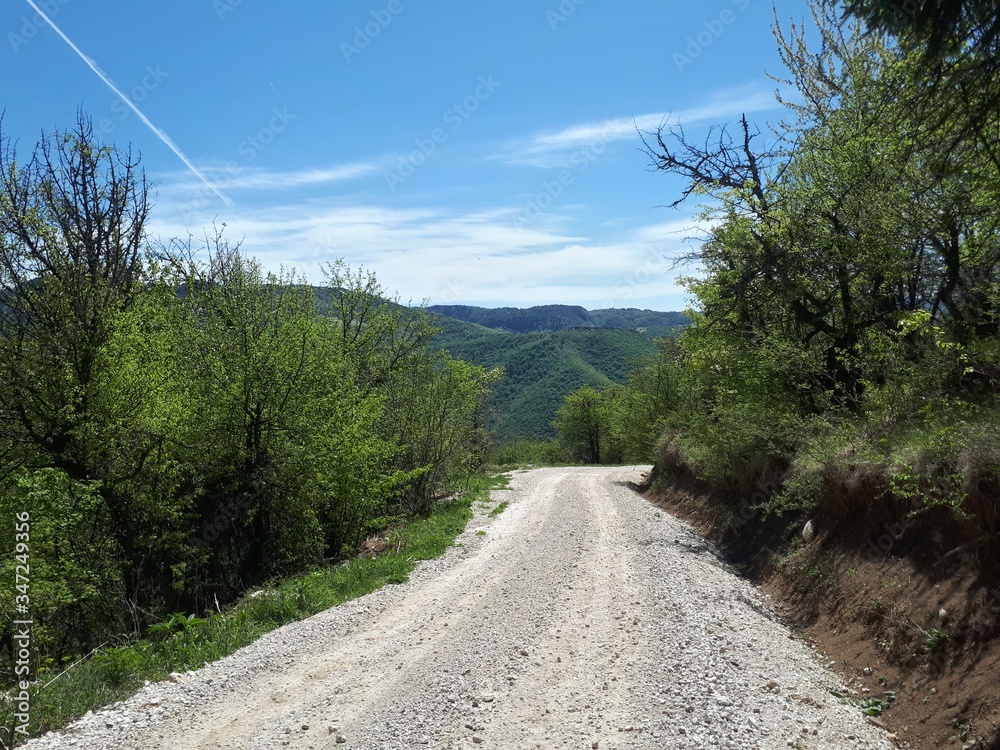 Fototapeta premium Carriage road in the mountains
