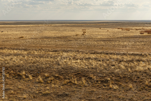 Endless Kazakhstan steppes. Dry grass in the steppe.