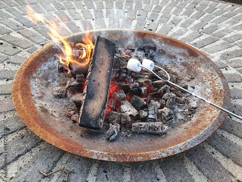 Roasting marshmallows over a garden bon fire 