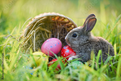 Easter Bunny Basket With Brown Rabbit And Easter Eggs Colorful On Meadow On Spring Green Grass Backg