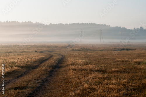 The cows that pasturing in the meadow of brown color far away. Foggy weather. Early autumn. Morning © Oksana