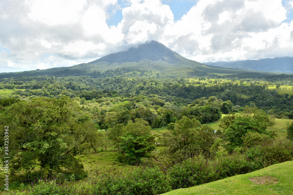 Landscape of the vegetation of the Arenal volcano natural park