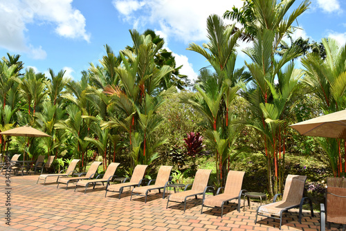 Relaxing sun loungers in a hotel complex