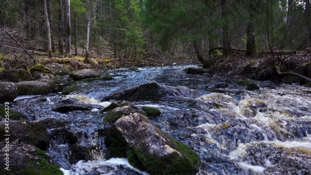 a small forest river in Karelia
a small forest river in Karelia