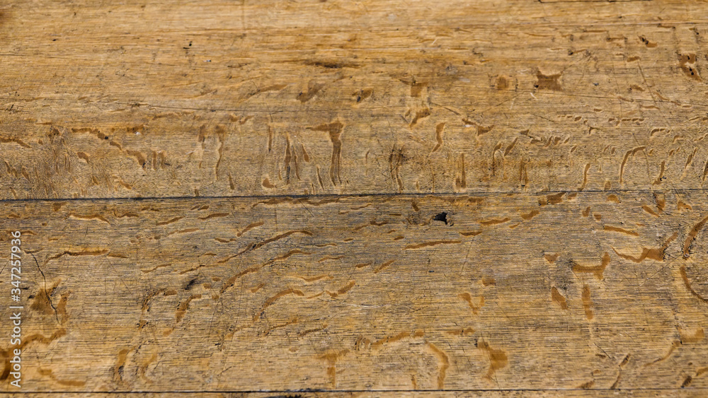 Fototapeta premium Old wooden board, background. Close up